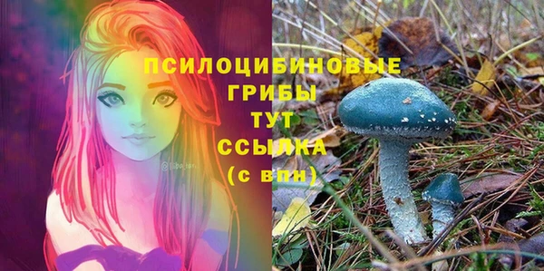 гидропоника Горняк