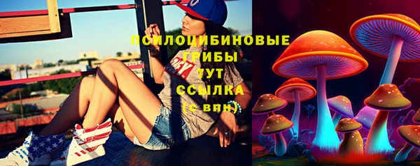 гидропоника Горняк